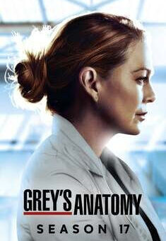 Grey’s Anatomy 17ª Temporada Completa