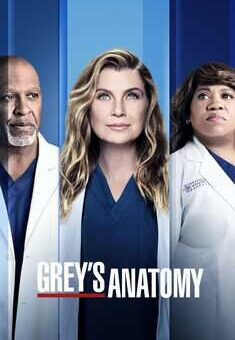 Grey’s Anatomy 18ª Temporada Completa